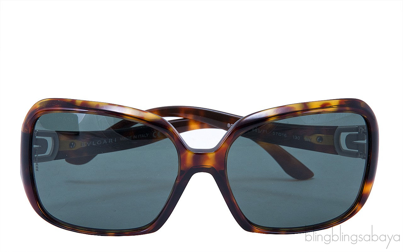 Brown Sunglasses