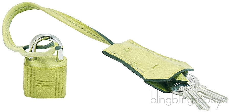 Birkin 30 Ostrich Vert Anis