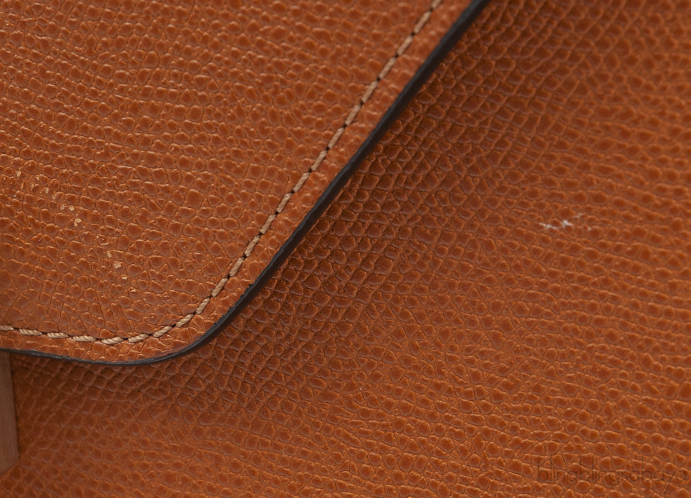Iside Havana Brown Crossbody Bag