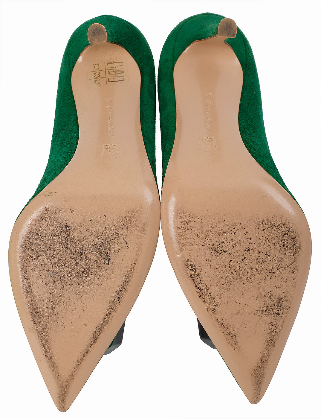 Gianvito Rossi Emerald Jaipur 105 Embellished Suede Pumps