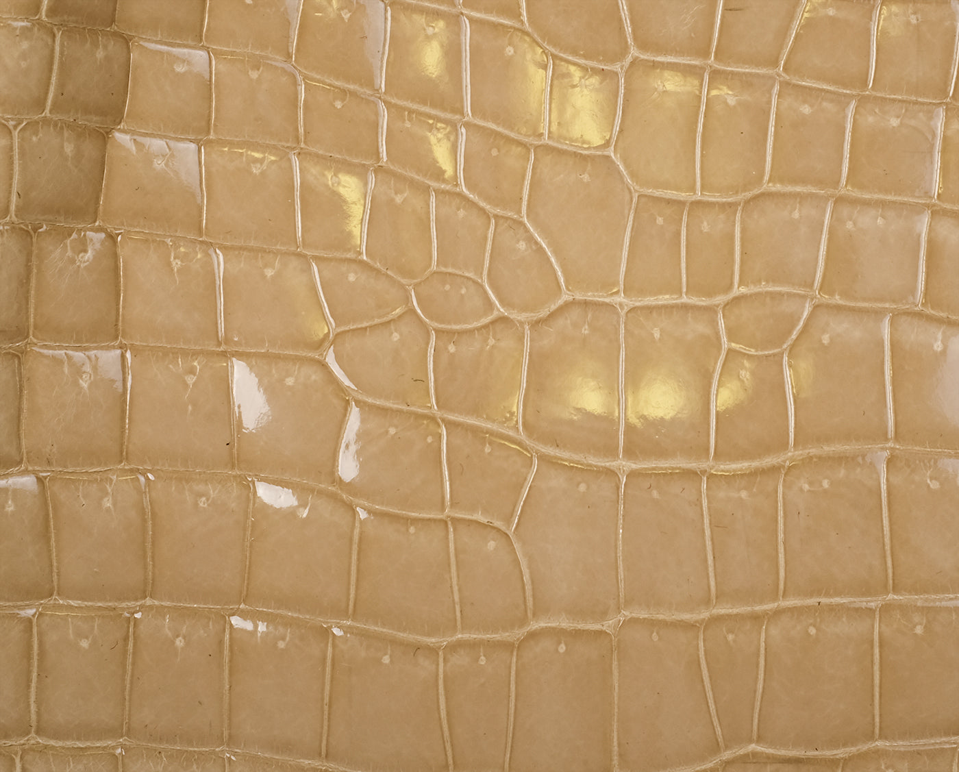 Yamaguchi Beige Crocodile Handbag