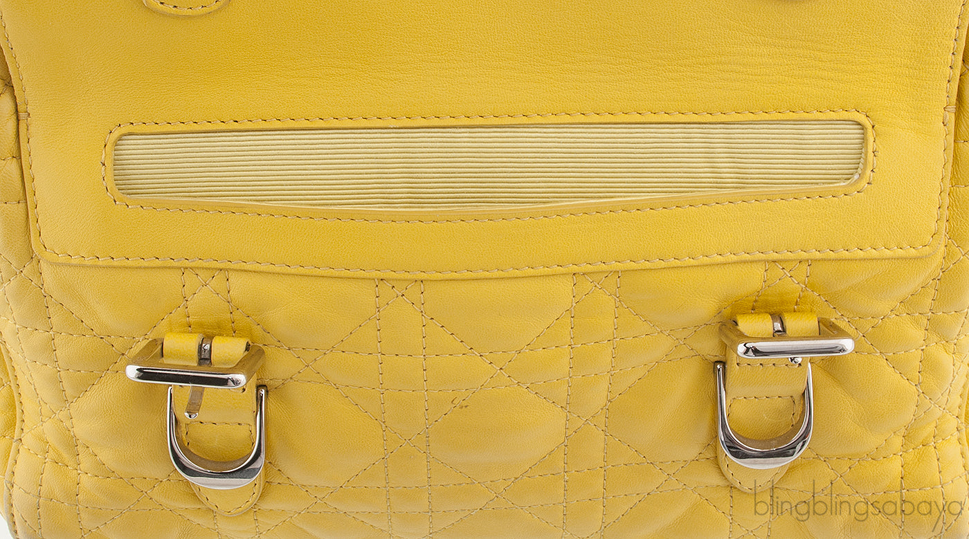 Dior Embroidered Stardust Backpack