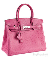 Birkin 30 Fuchsia Pink Ostrich PHW