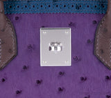 Birkin 30 Tri-color Ghillies Ostrich