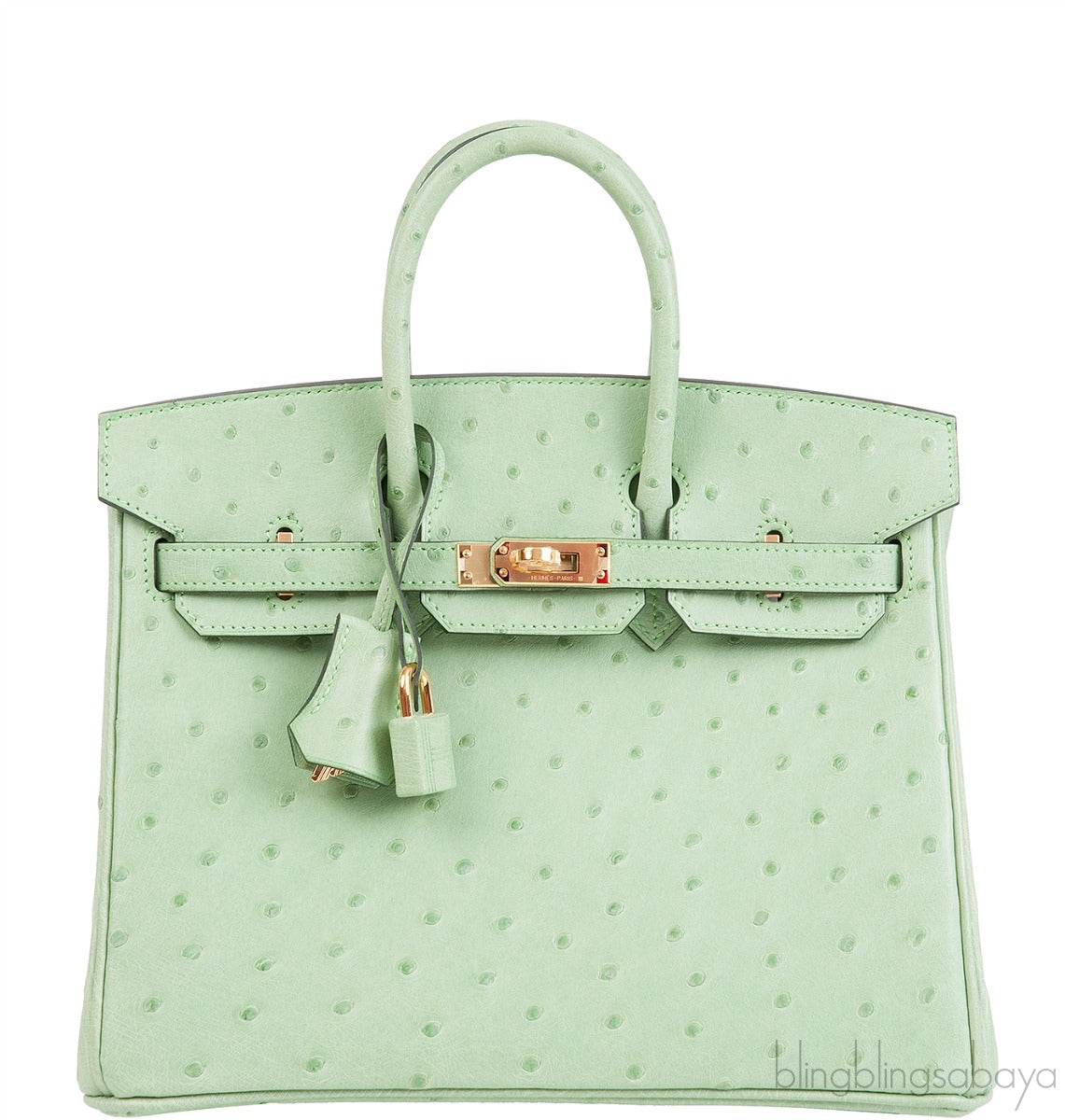 Birkin 25 Vert Criquet Ostrich GHW