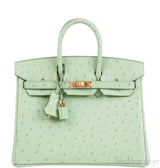 Birkin 25 Vert Criquet Ostrich GHW