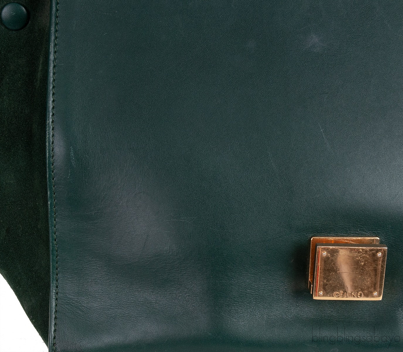 Trapeze Emerald Green Croc Embossed Shoulder Bag