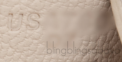 Birkin 25 Boreal Nata Ostrich GHW