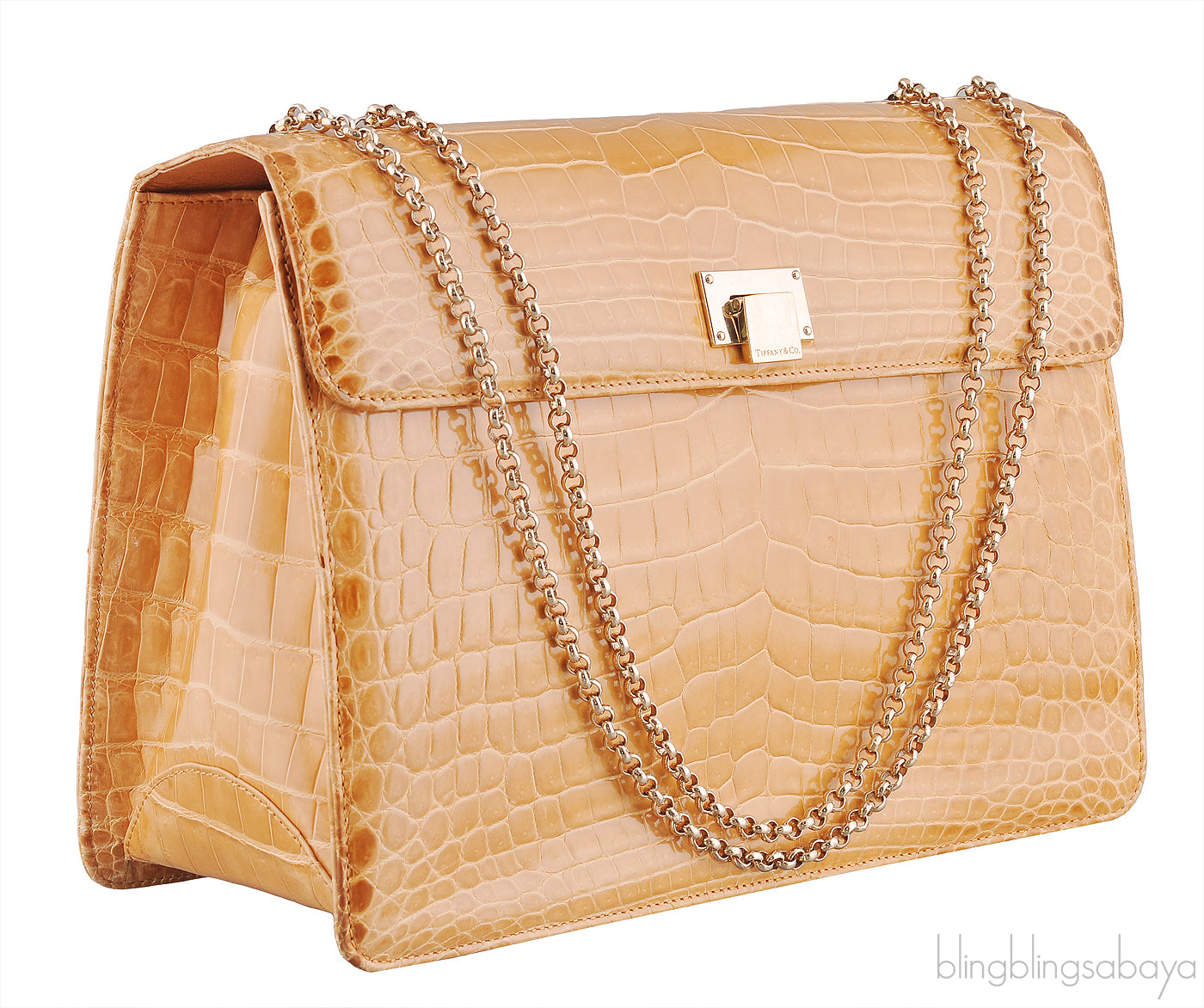 Beige Cornelia Lunch Box Crocodile Bag