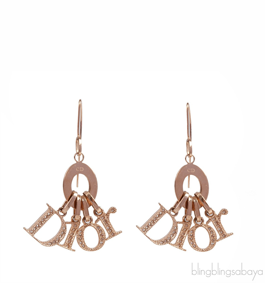 Dior Logo Hook Earrings