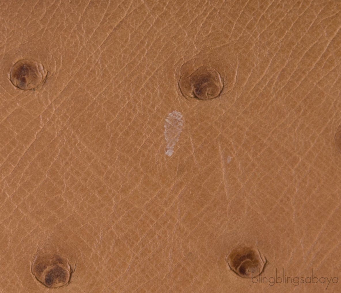Birkin 30 Ostrich Cognac GHW