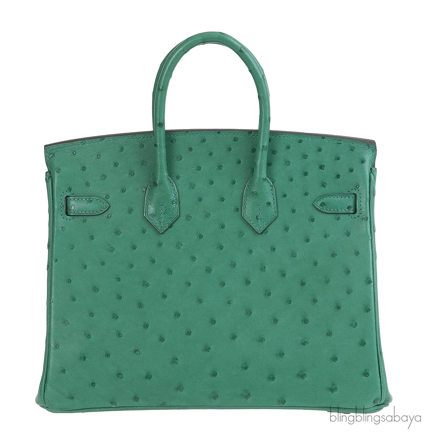 Hermes Birkin 25 Ostrich Vert Vertigo GHW