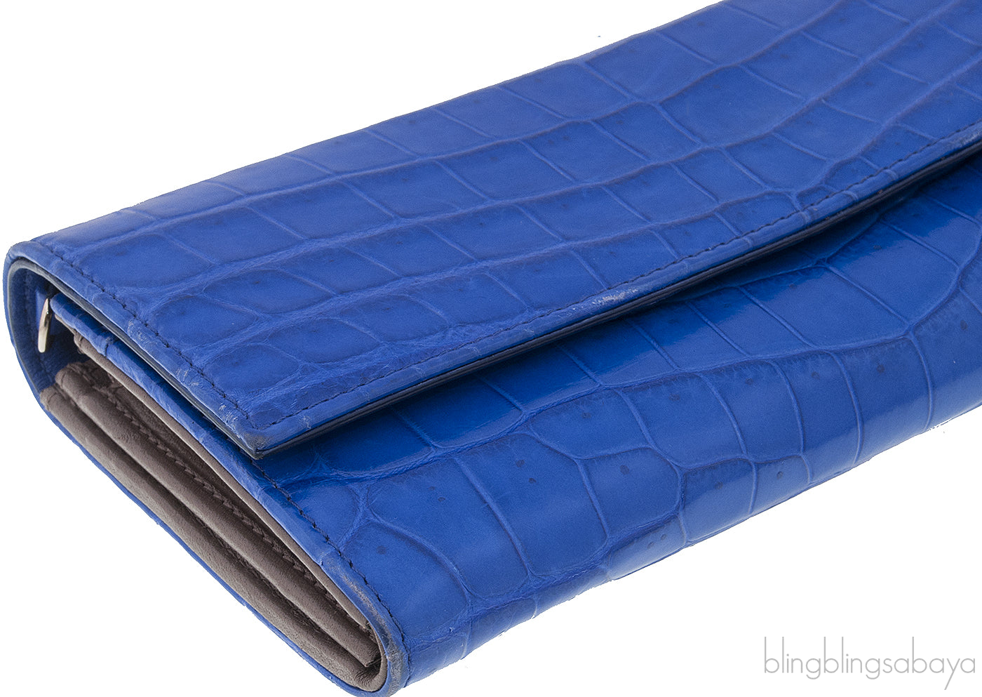 Blue Crocodile Wallet on Chain