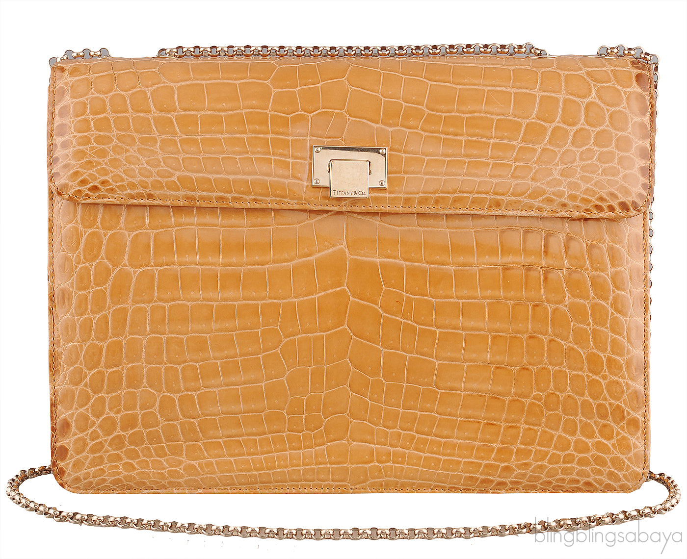 Beige Cornelia Lunch Box Crocodile Bag