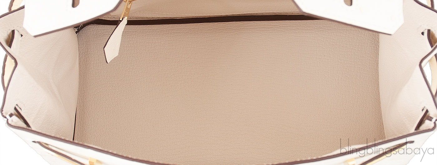 Birkin 25 Boreal Nata Ostrich GHW