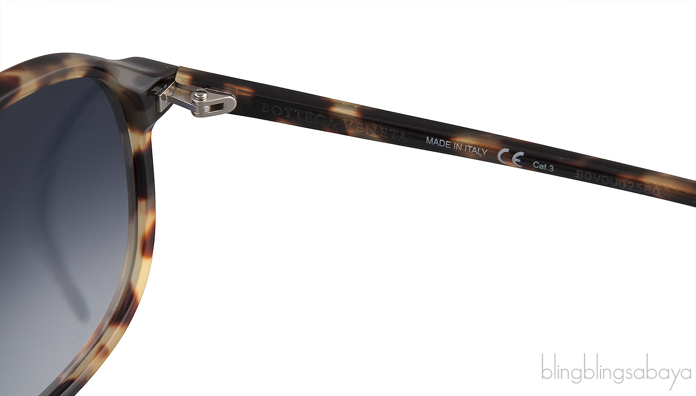 BV0024S 005 Cat 3 Sunglasses