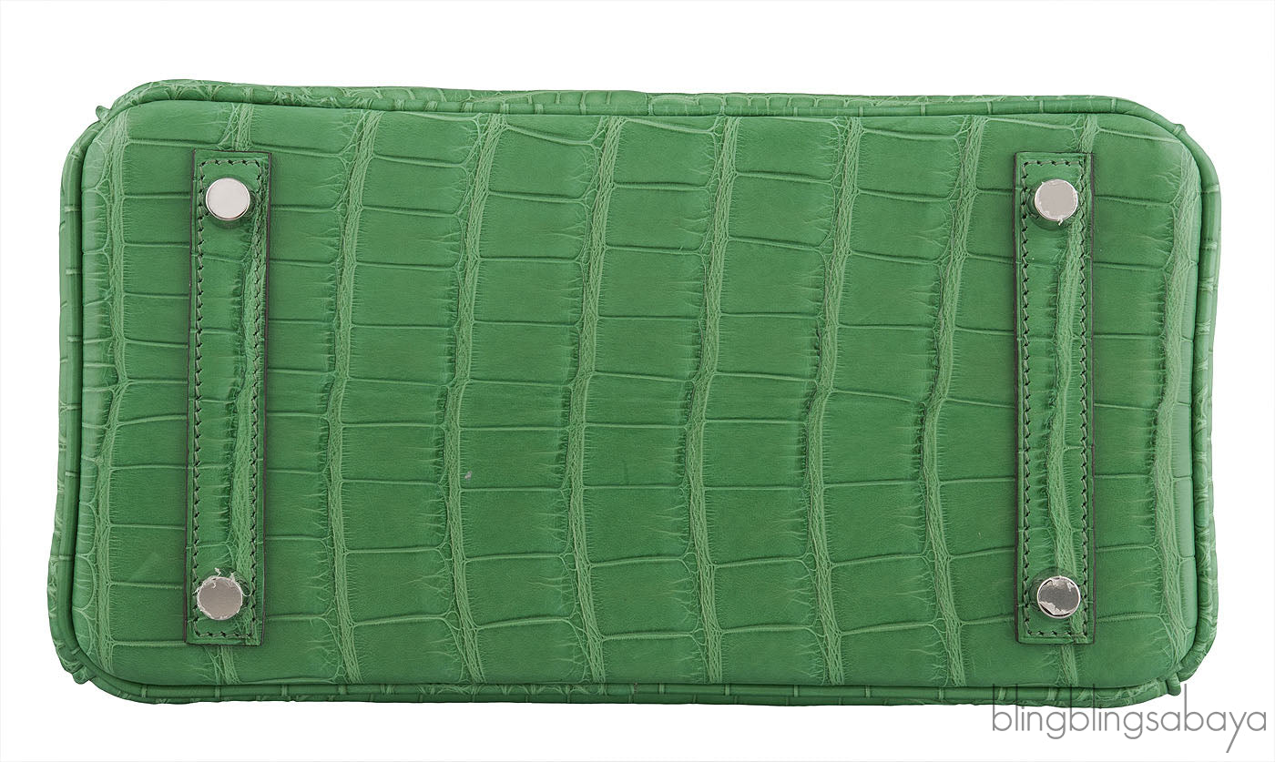 Birkin 25 Cactus Crocodile Natural Sable