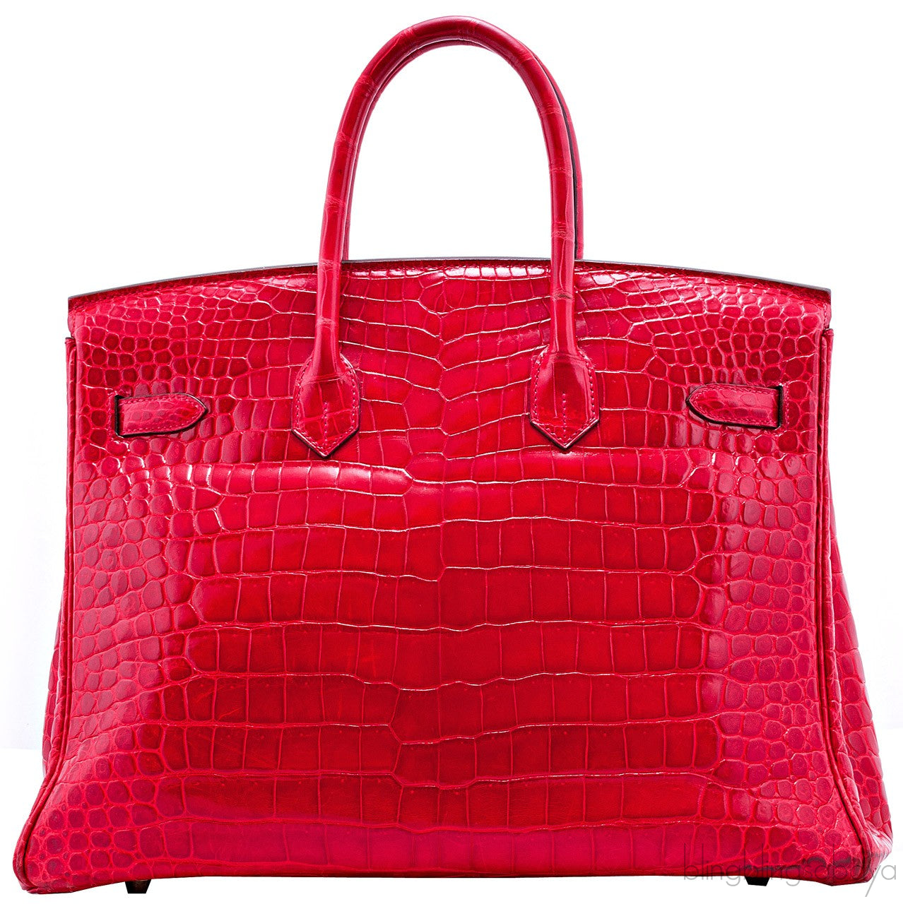 Birkin 35 Red Braise Shiny Croco