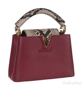 Burgundy Natural Python Mini Capucine Bag
