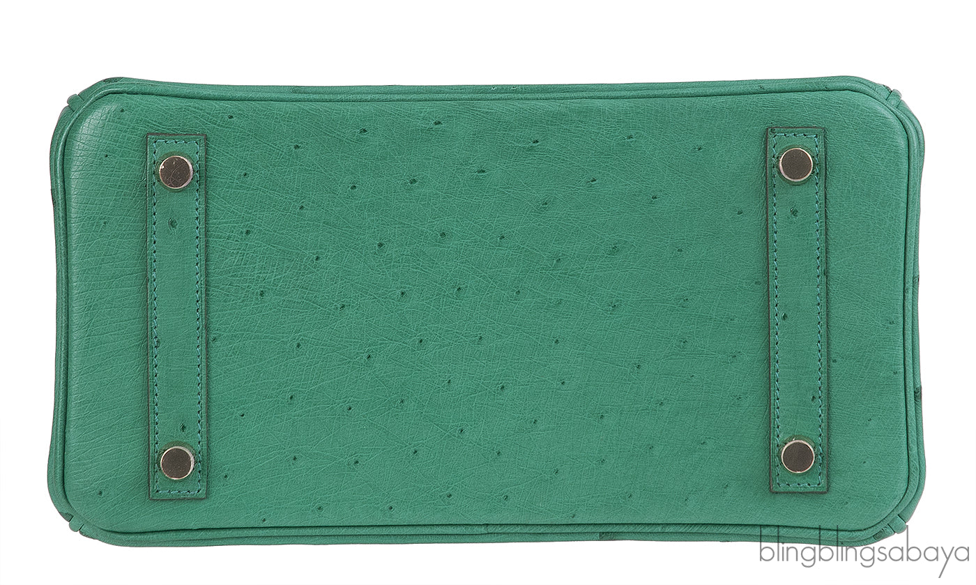Hermes Birkin 25 Ostrich Vert Vertigo GHW