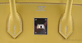 Birkin 35 Lime swift
