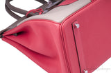 Birkin 35 Tricolor Casaque *Limited*