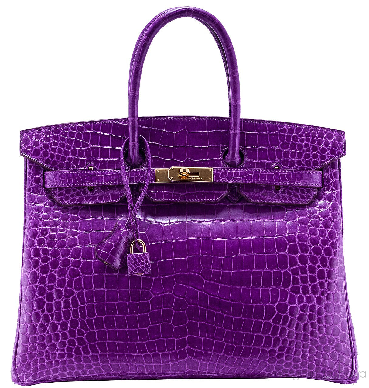 Birkin 35 Purple Crocodile GHW