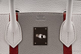 Birkin 30 Club Tri-color