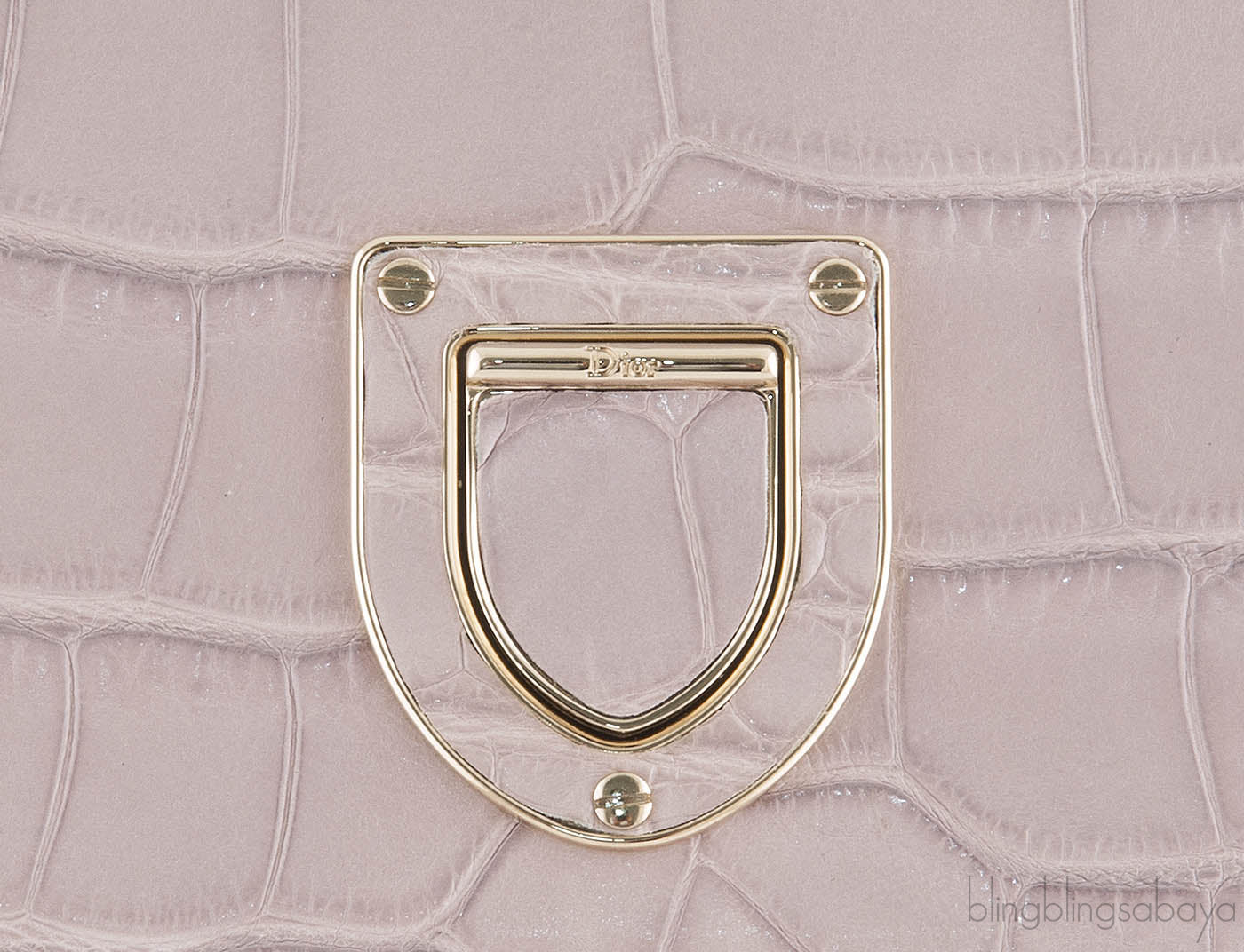 Christian Dior Diorever Crocodile Medium Bag