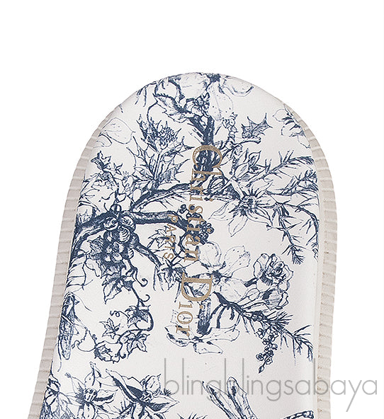 Blue Dway Slide
