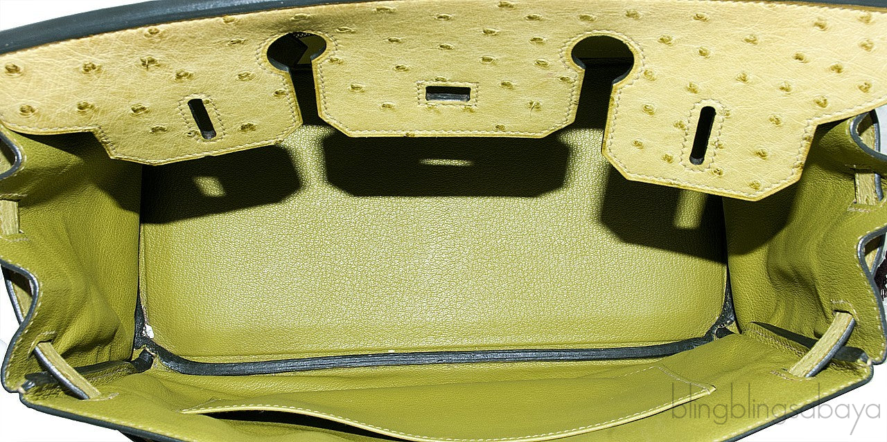 Birkin 30 Ostrich Vert Anis