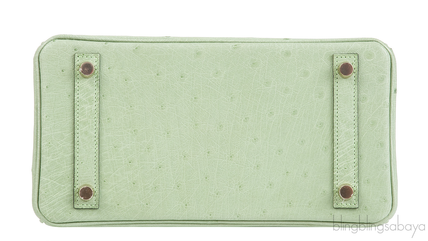 Birkin 25 Vert Criquet Ostrich GHW
