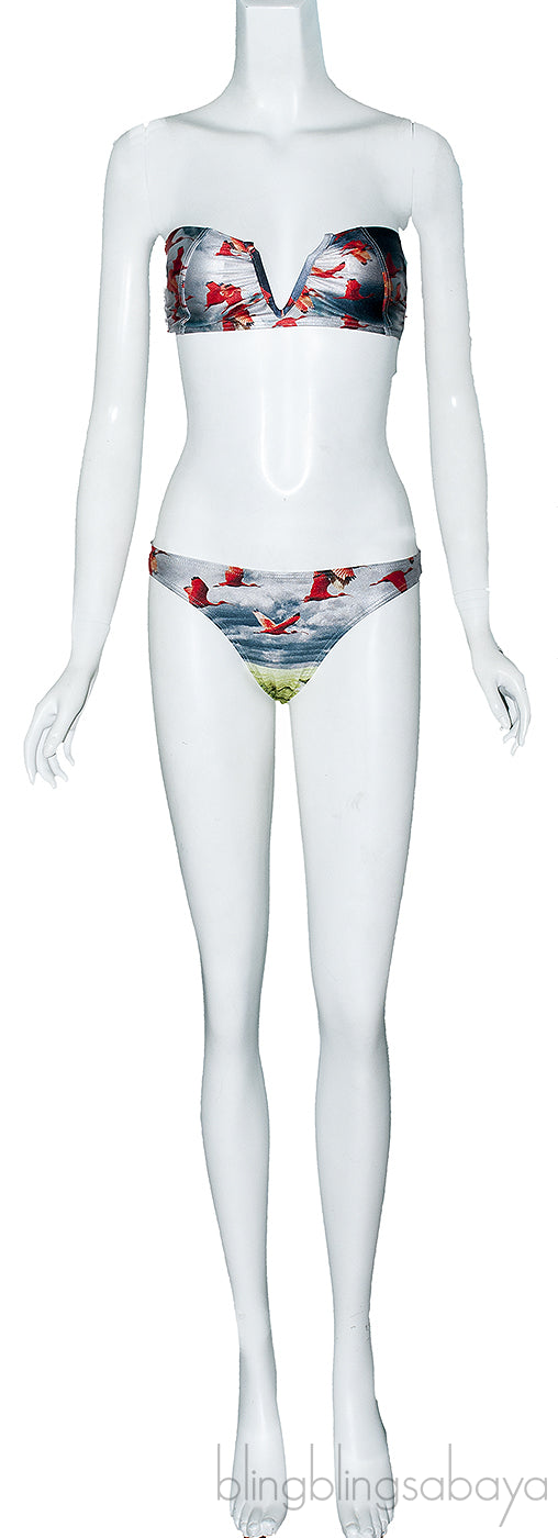 Flamingo Printed Bikini & Top
