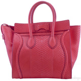 Mini Luggage Bougainvillia Python