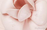 Pink Camellia Rubber Logo Mules