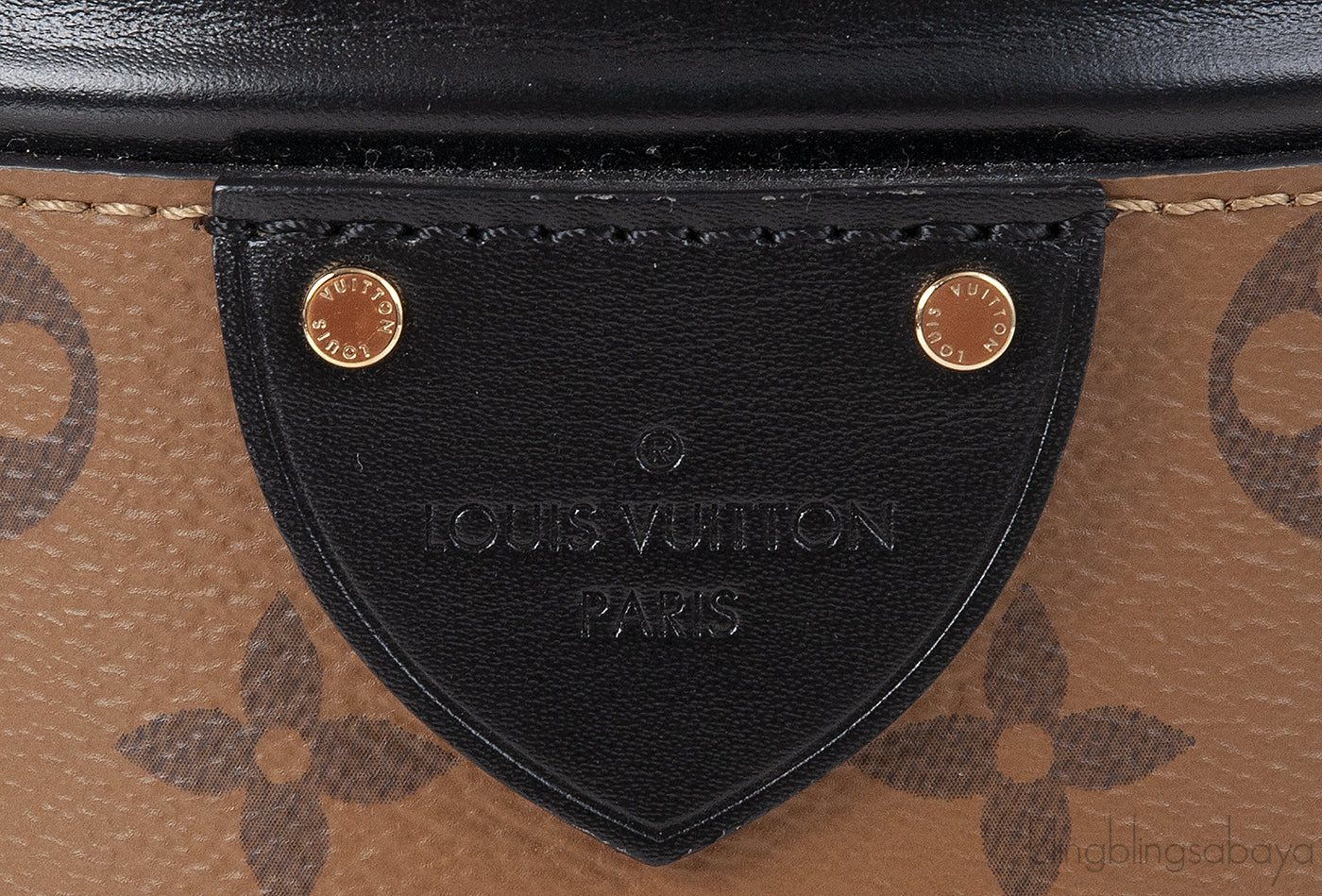 Louis Vuitton Cannes Monogram Bag