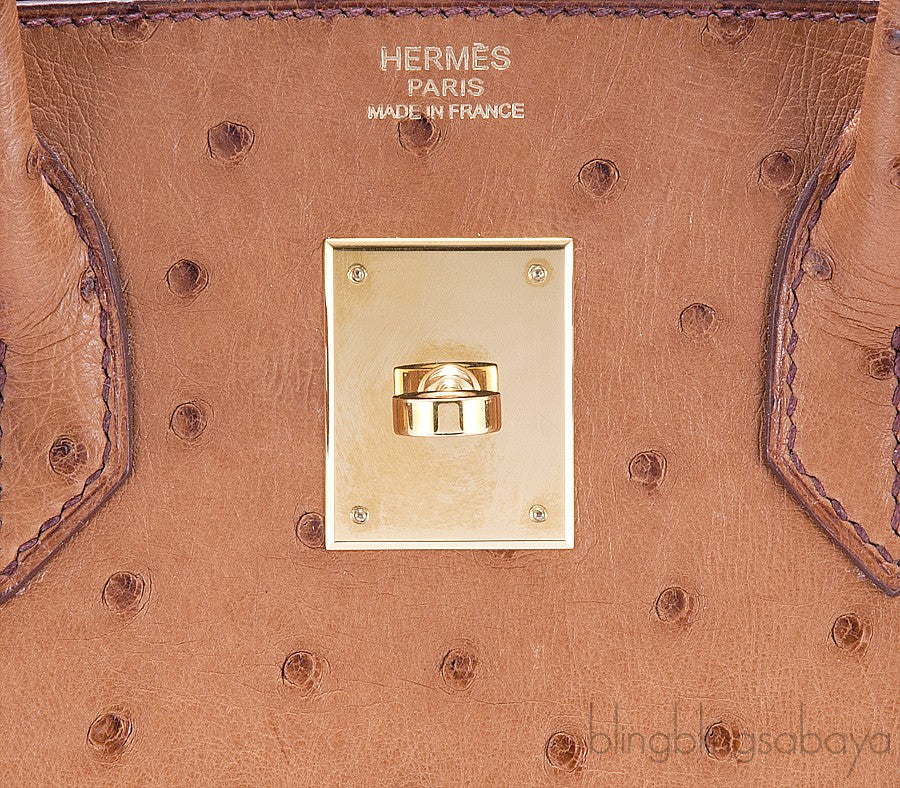 Birkin 30 Cognac Ostrich GHW