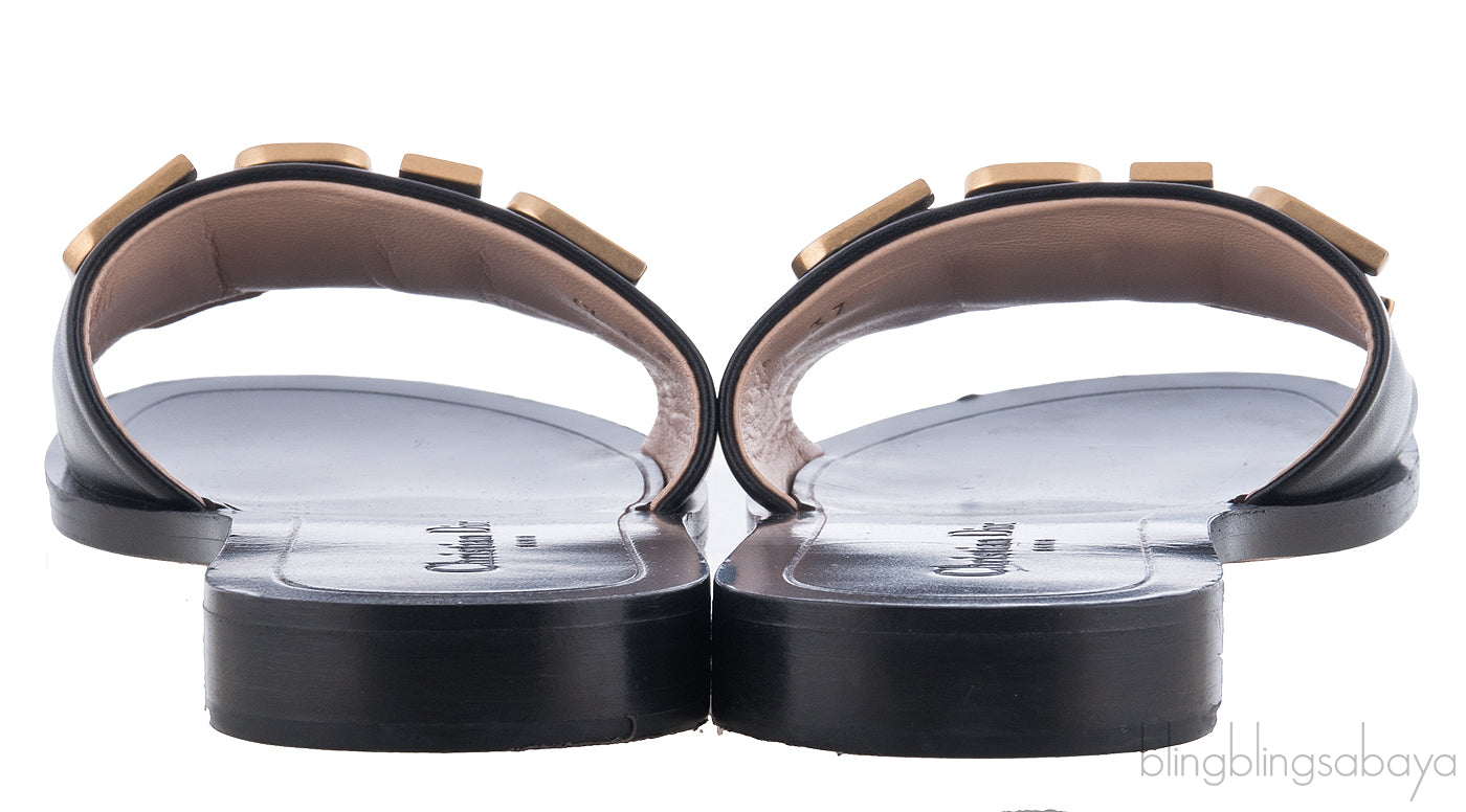 Diorevolution Black Leather Mule