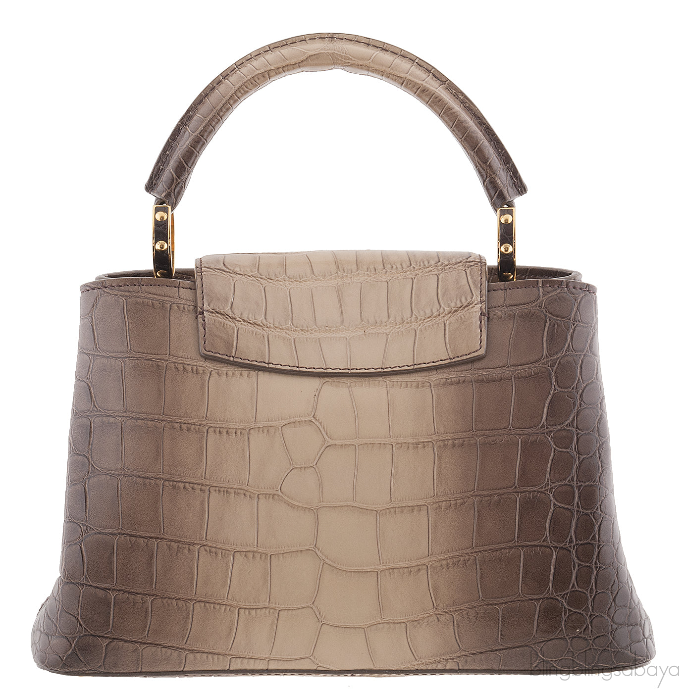 Capucine Gradient Crocodile B