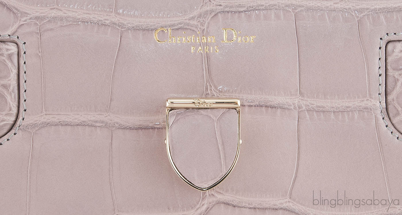 Christian Dior Diorever Crocodile Medium Bag