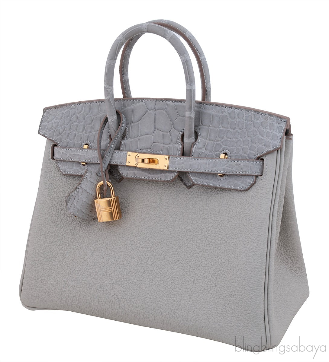 Birkin 25 Touch Grey Perle Crocodile Matte Togo GHW