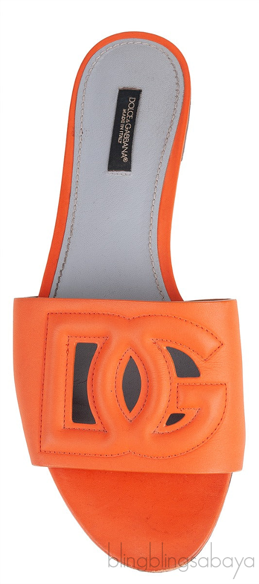 Orange DG Slide