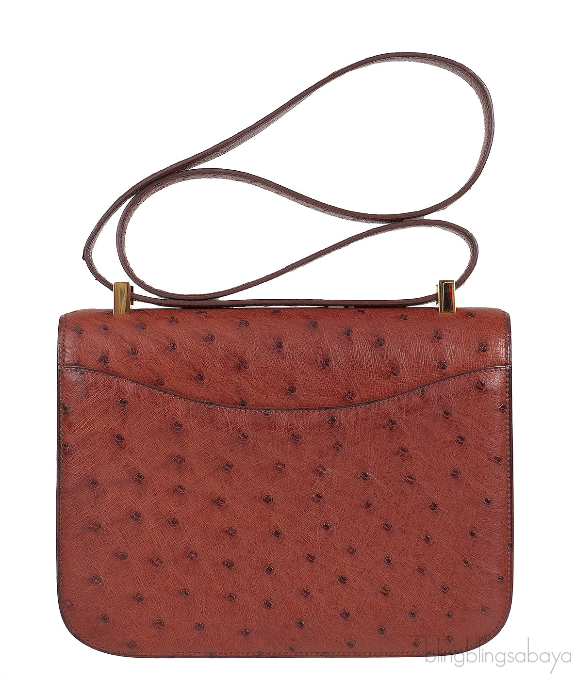 Hermes Vintage Constance 23 Brown Ostrich GHW