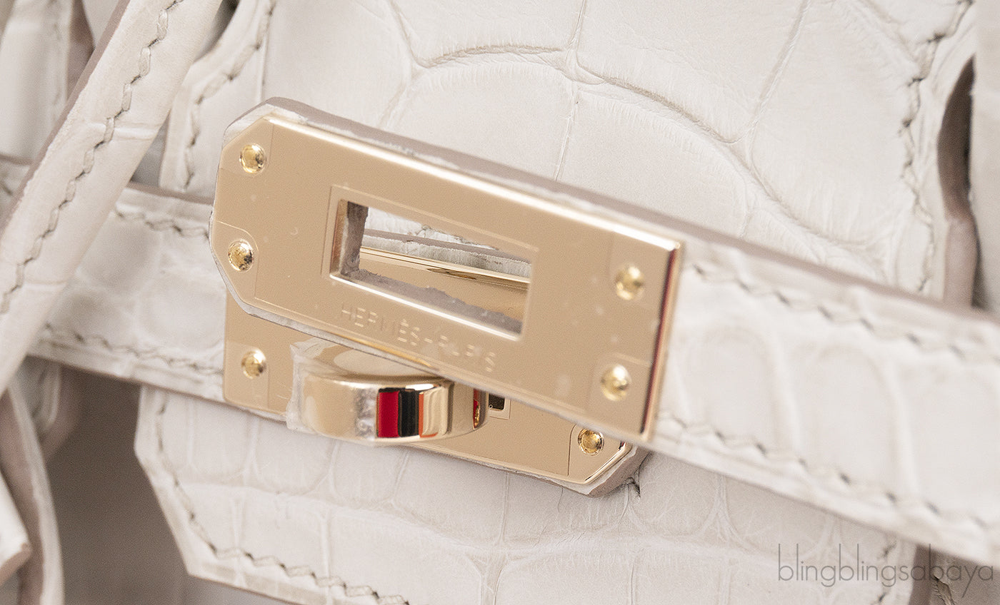 Hermes Birkin 25 Beton Matte Alligator Crocodile GHW