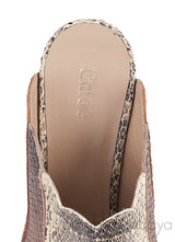 Pointed Multicolor Lauren Mules