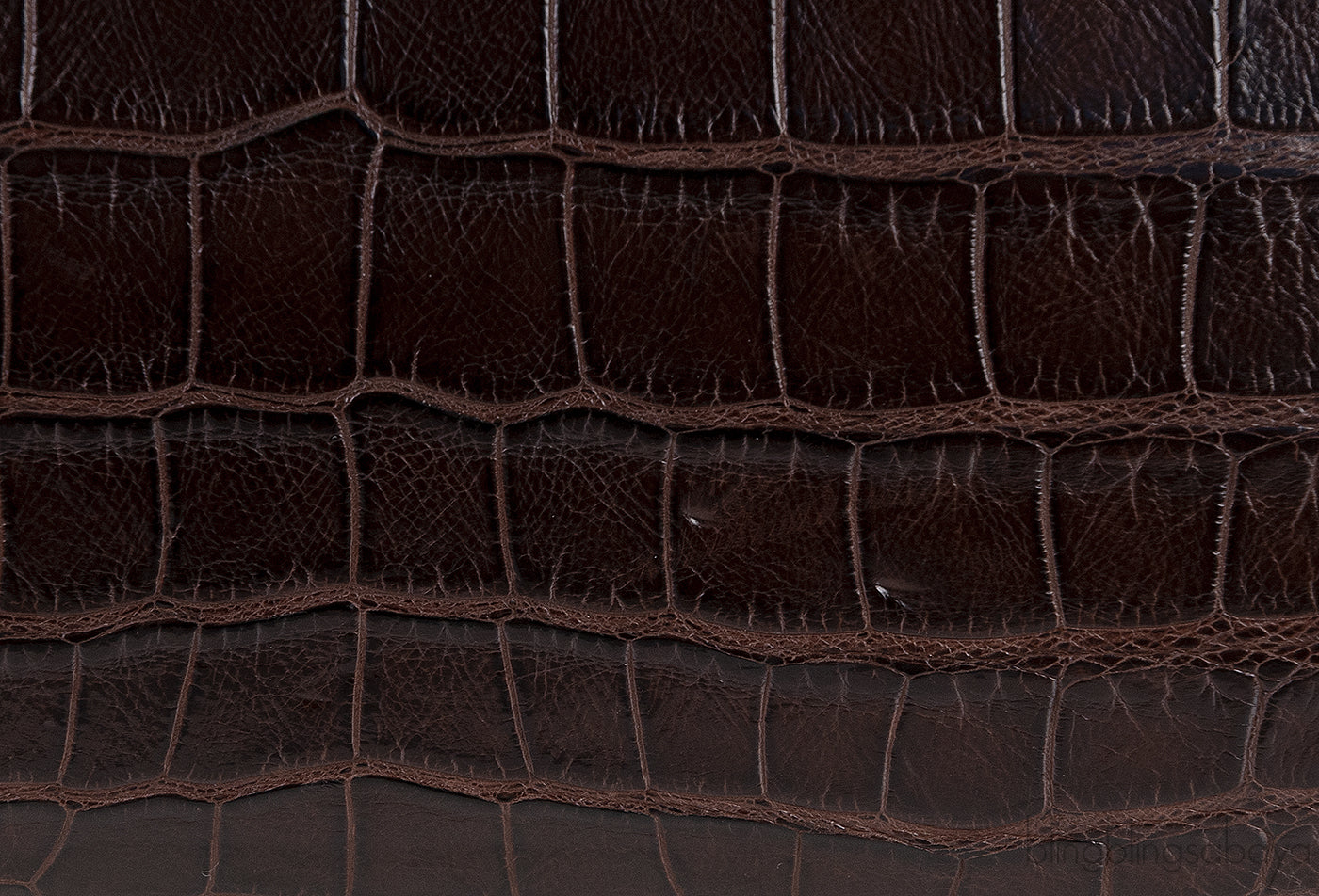 Brown Crocodile Shoulder Bag
