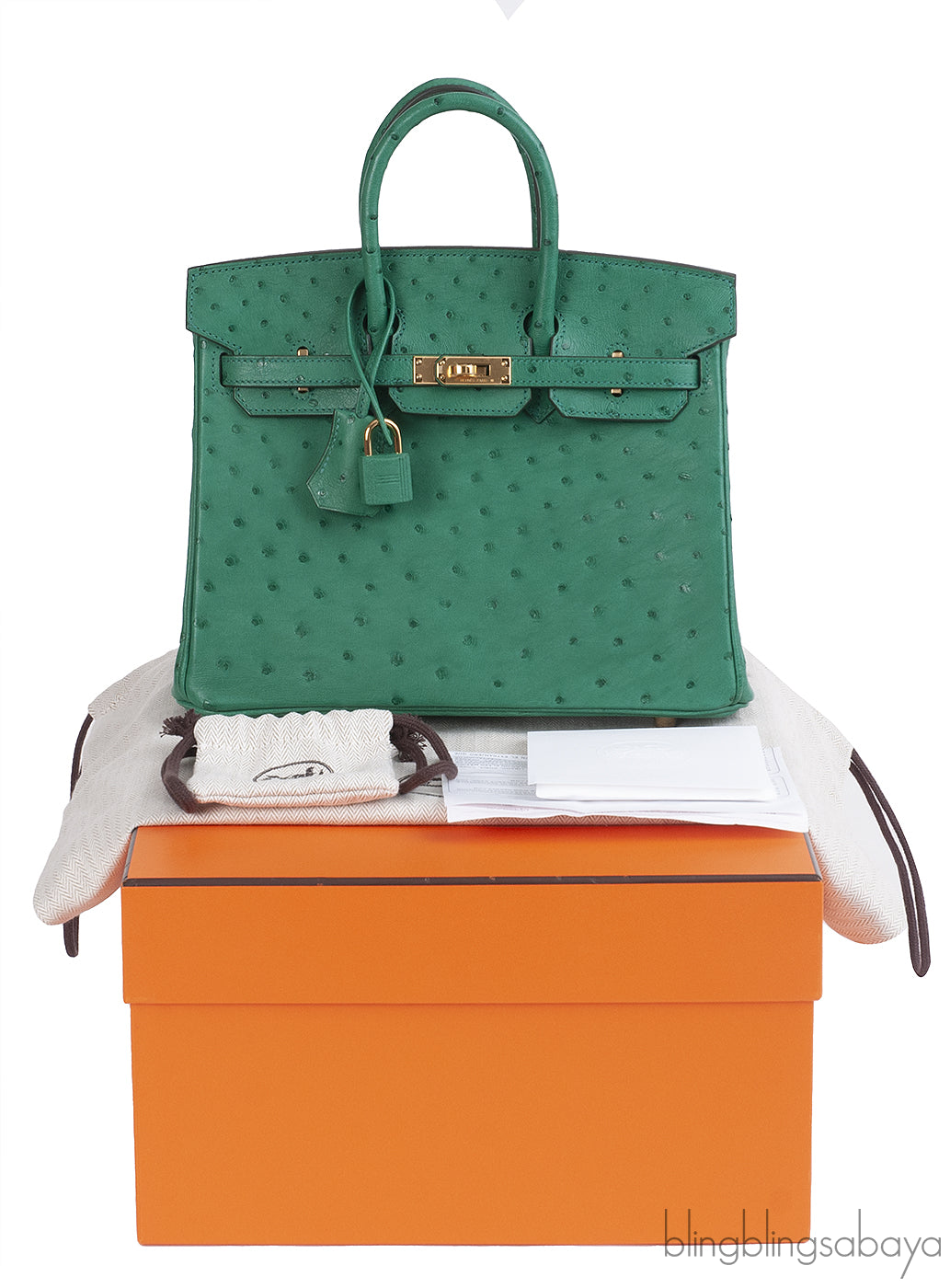 Hermes Birkin 25 Ostrich Vert Vertigo GHW