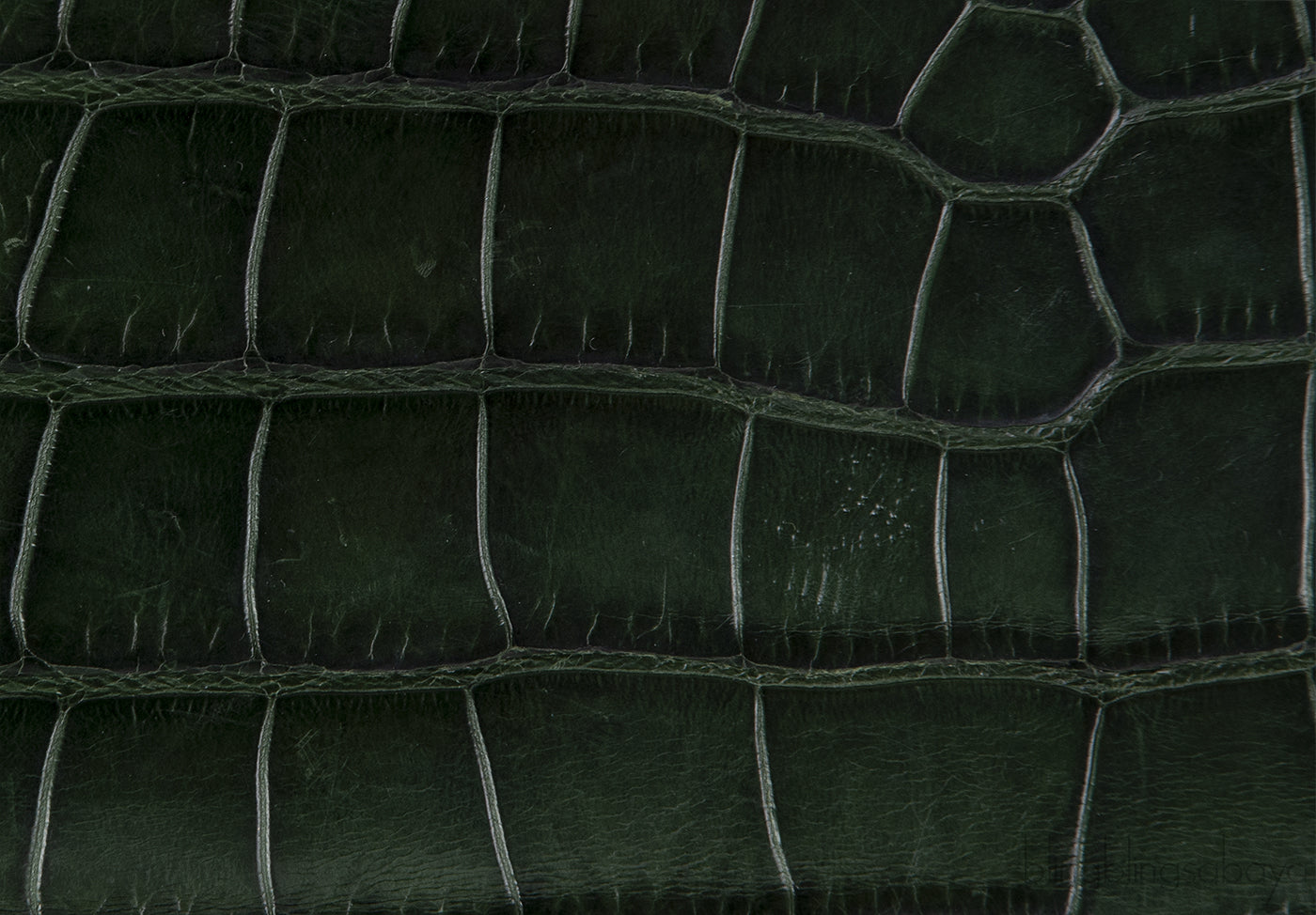 Crystal Embellished Horsebit Green Crocodile Mini Clutch