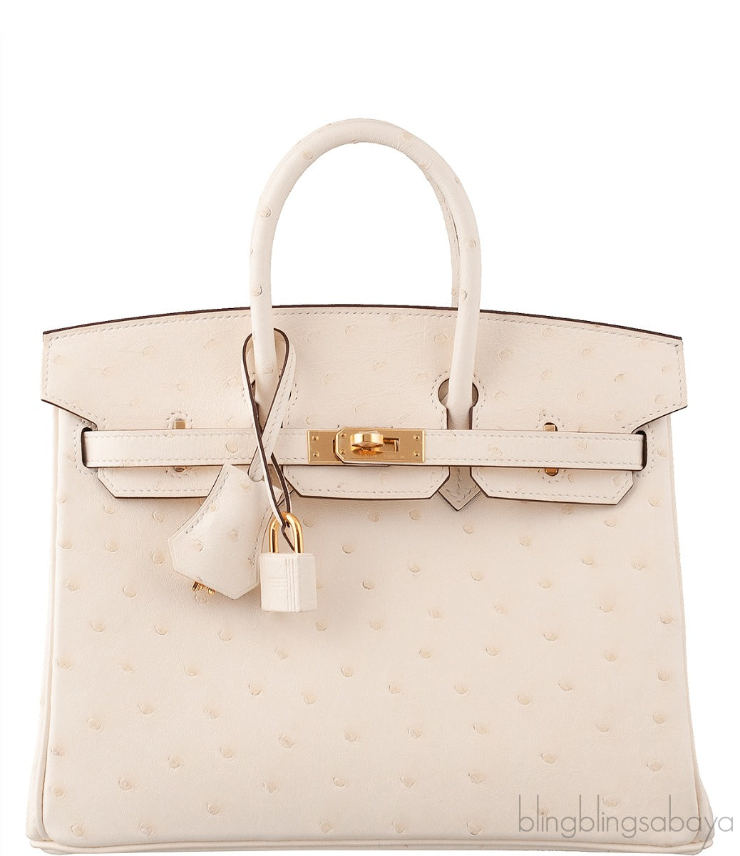 Birkin 25 Boreal Nata Ostrich GHW