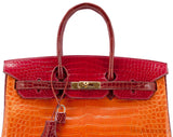 Birkin 35 Tricolor Crocodile Ltd. Ed.